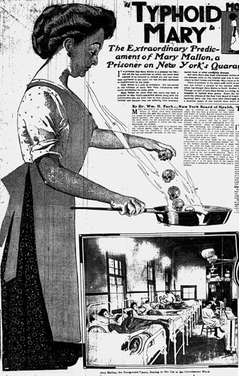 Typhoid Mary article in The New York American June 20 1909