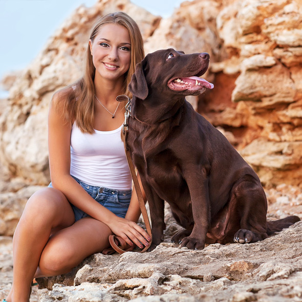 studying with dog or pet